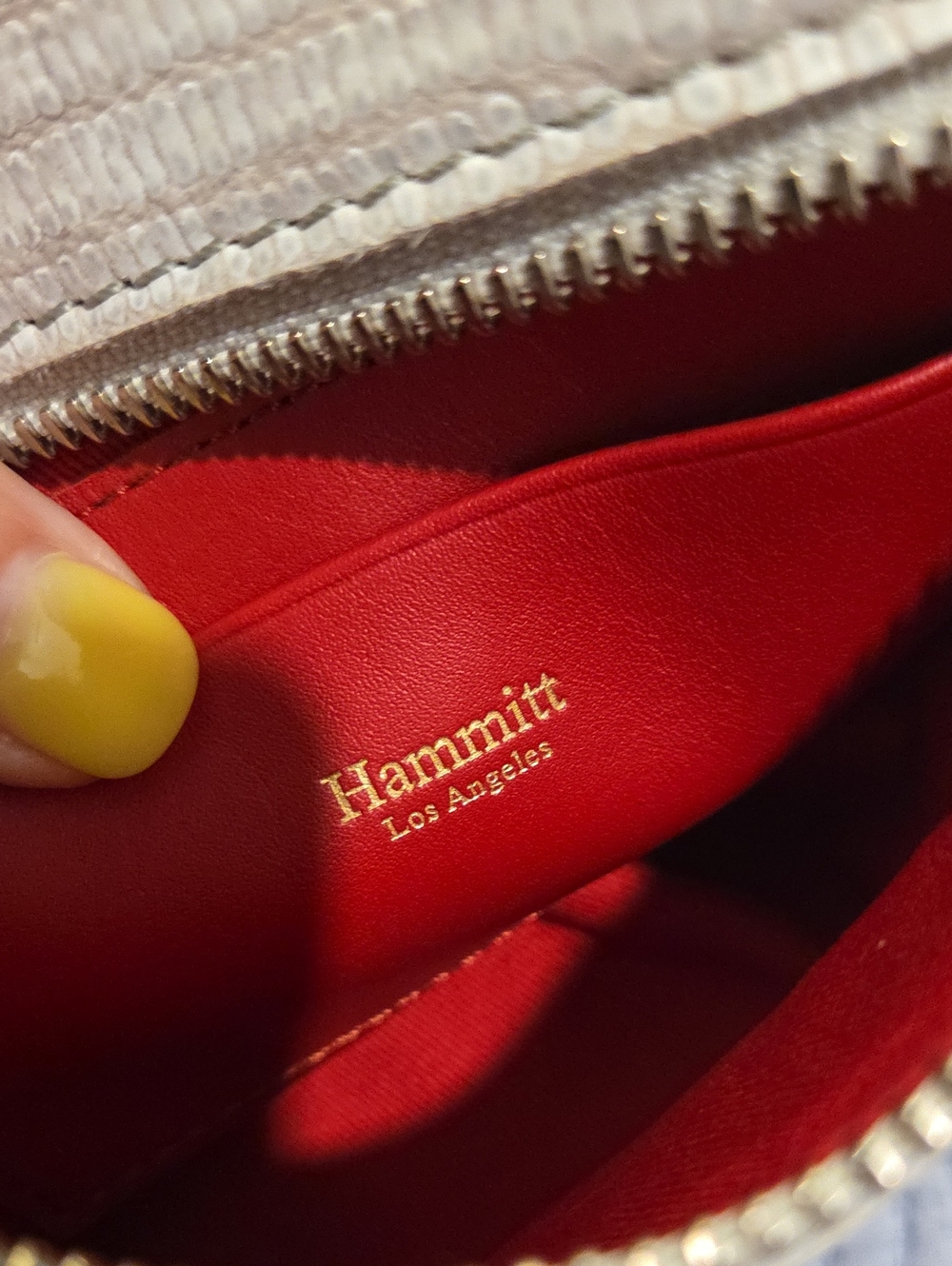 Hammitt Tony Leather Crossbody Bag - Light Grey Textured/Lizard Embossed Bag! - Picture 5 of 14